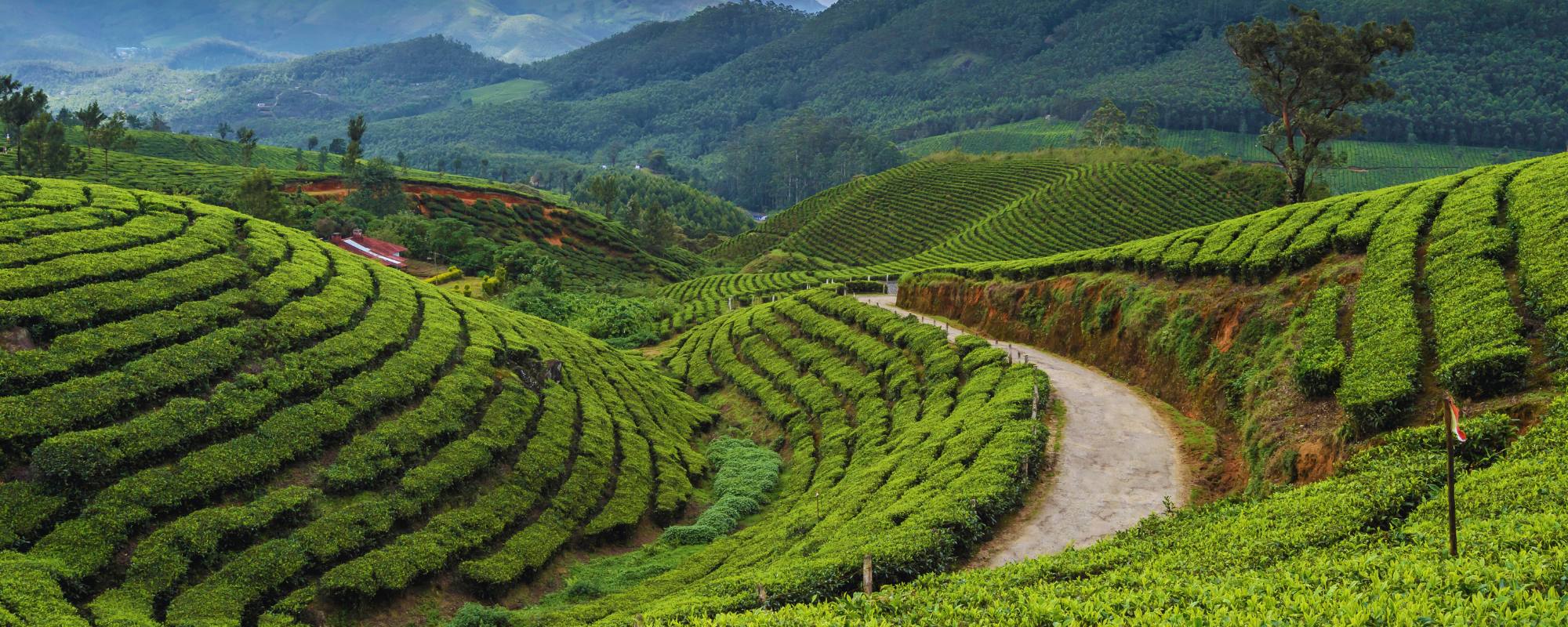Munnar